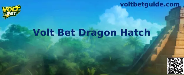 Explicação visual do funcionamento do Volt Bet Dragon Hatch
